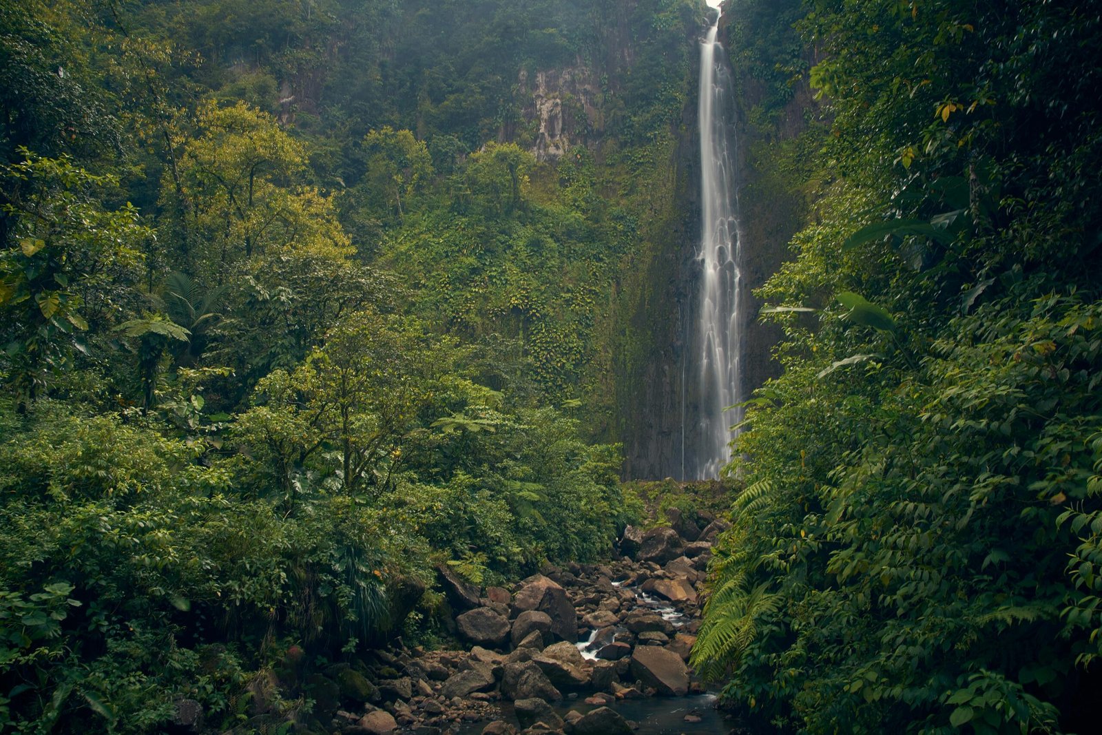 Captivating waterfall cascading in a vibrant tropical rainforest scene